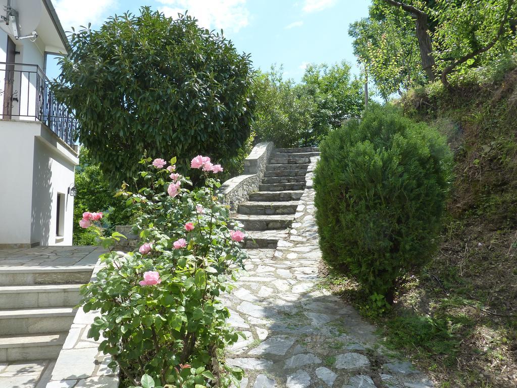Makrirrákhi Villa Thea מראה חיצוני תמונה