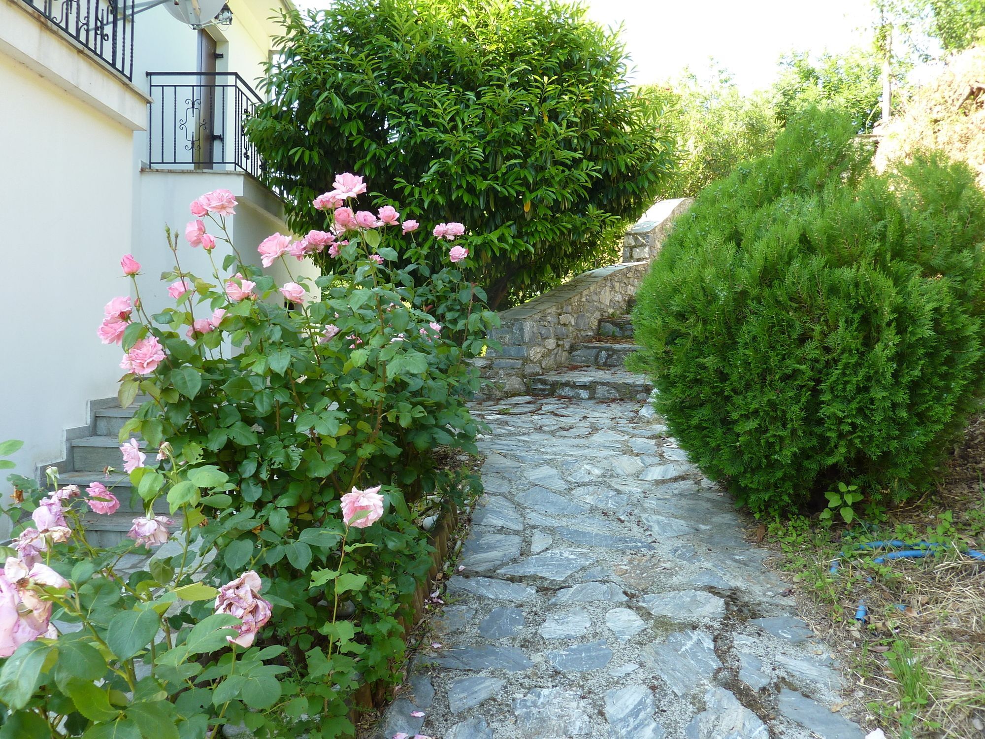 Makrirrákhi Villa Thea מראה חיצוני תמונה